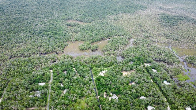 10947 W Rockhaven Ln, Homosassa, FL 34448