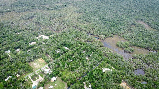 10947 W Rockhaven Ln, Homosassa, FL 34448