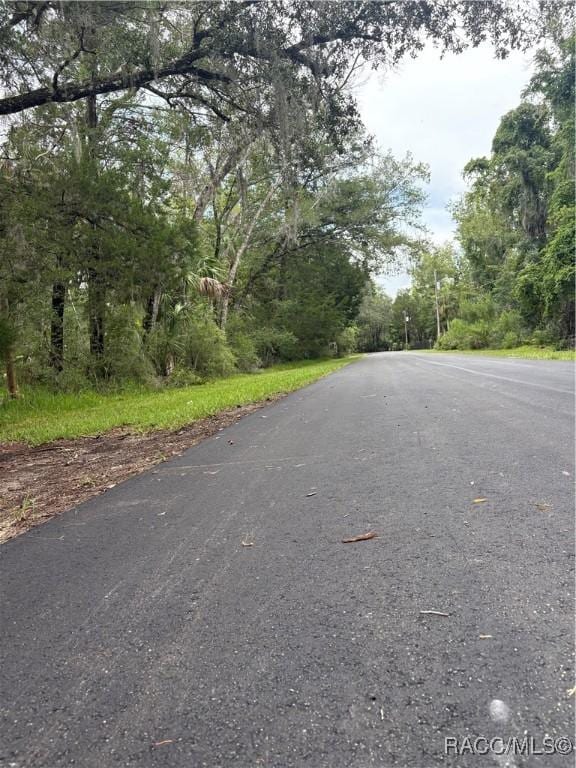 10947 W Rockhaven Ln, Homosassa, FL 34448