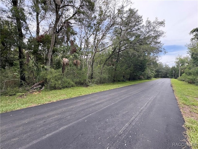 10947 W Rockhaven Ln, Homosassa, FL 34448