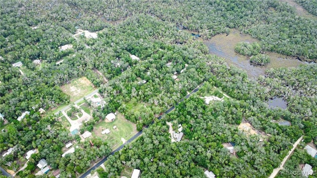 10947 W Rockhaven Ln, Homosassa, FL 34448