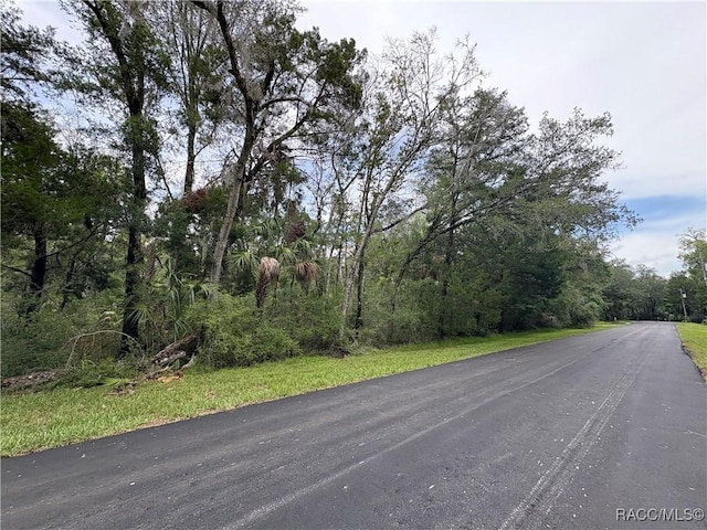 10947 W Rockhaven Ln, Homosassa, FL 34448