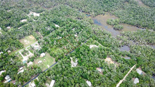 10947 W Rockhaven Ln, Homosassa, FL 34448