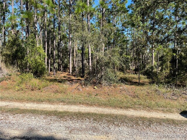 LOTS16 SE 130th Ct, Dunnellon FL, 34431 land for sale