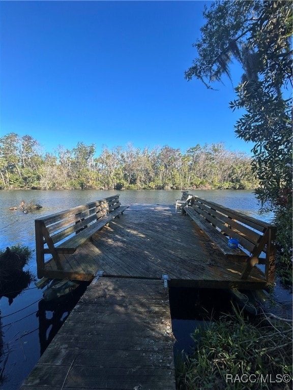 view of dock featuring a water view