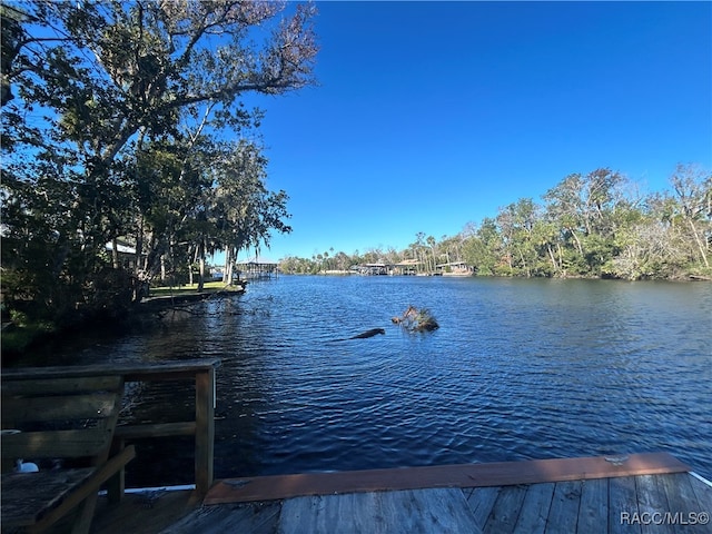 dock area featuring a water view