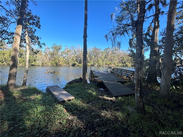 view of dock with a water view