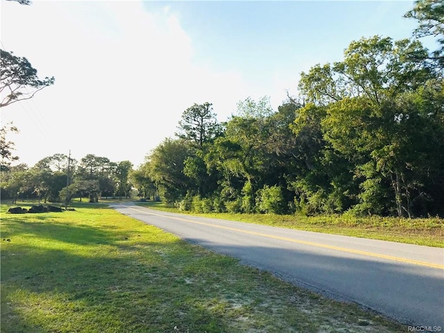 110 Cypress Cir, Homosassa, FL 34446 - photo 11