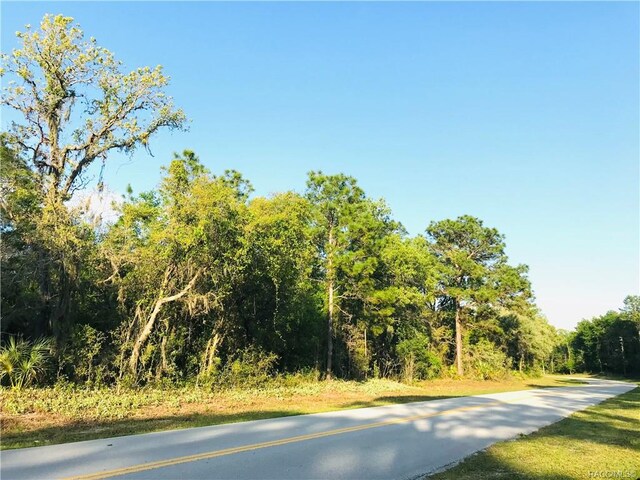 110 Cypress Cir, Homosassa, FL 34446 - photo 9