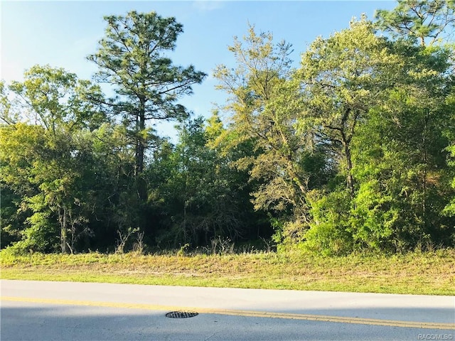 110 Cypress Cir, Homosassa, FL 34446 - photo 10