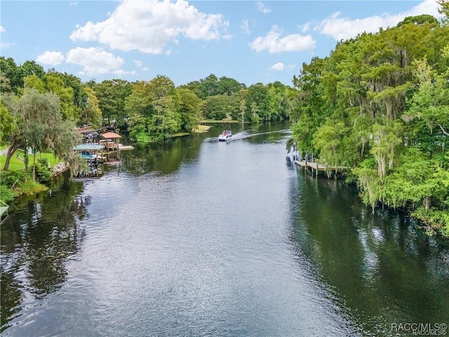 20920 W Pennsylvania Ave, Dunnellon, FL 34431 - photo 54