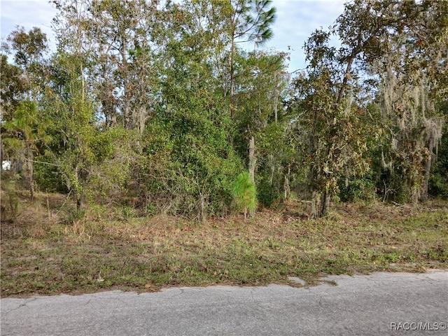 11755 N Belluzzi Ter, Dunnellon FL, 34433 land for sale