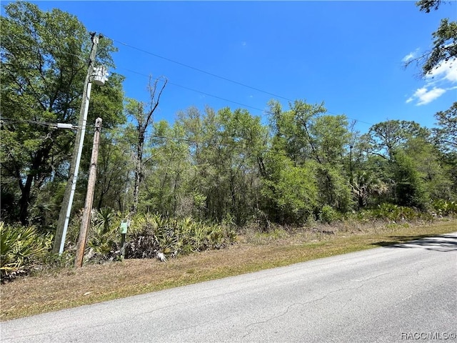 9771 W Hayes Ln, Crystal River FL, 34428 land for sale