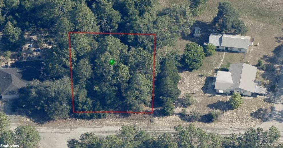 3173 W Marie Dr, Citrus Springs, FL 34433 - photo 2