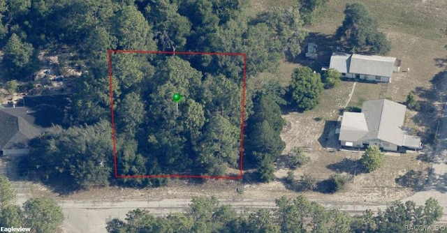 3173 W Marie Dr, Citrus Springs, FL 34433 - photo 2