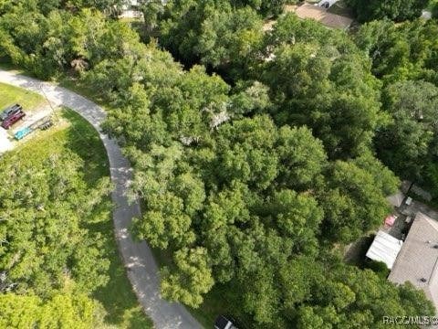 4059 E Gloria Dr, Hernando FL, 34442 land for sale