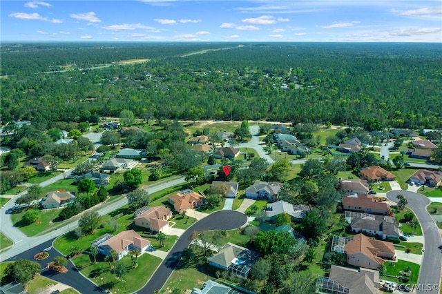 bird's eye view