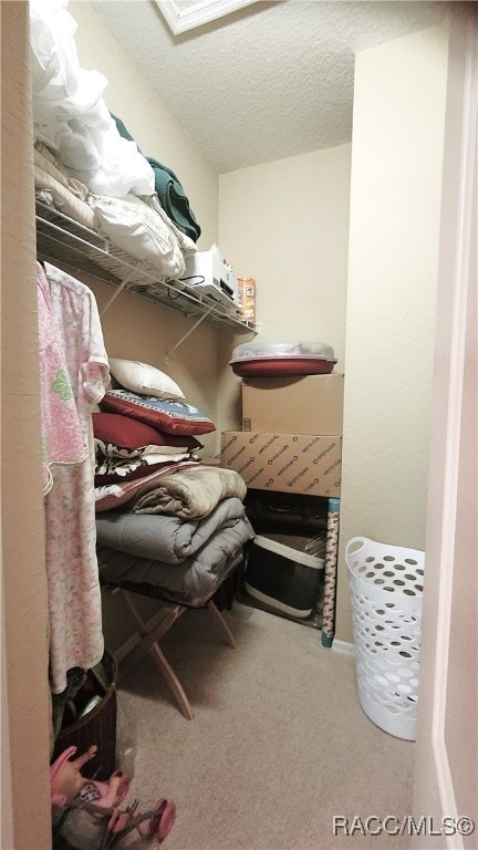 spacious closet with carpet flooring