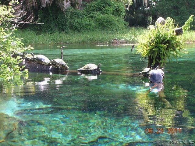 view of water feature