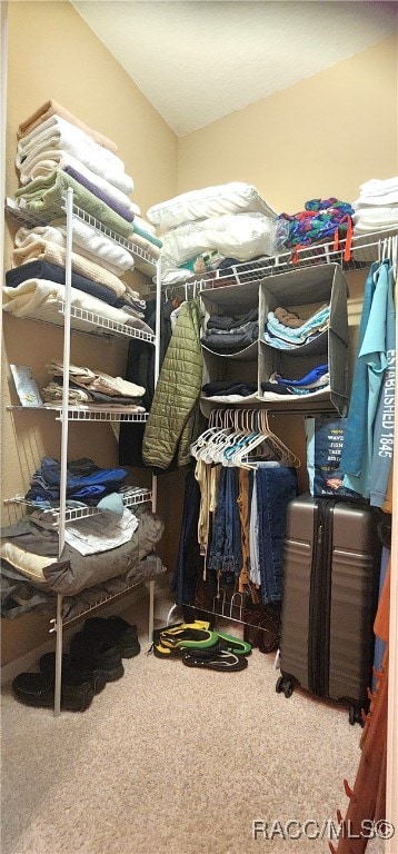 spacious closet with carpet floors