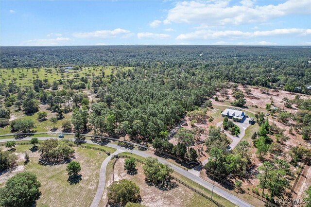 5400 W Conestoga St, Beverly Hills, FL 34465 - photo 3
