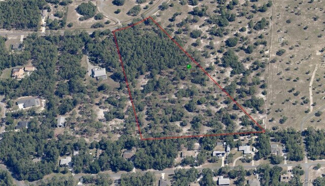 5400 W Conestoga St, Beverly Hills, FL 34465 - photo 4