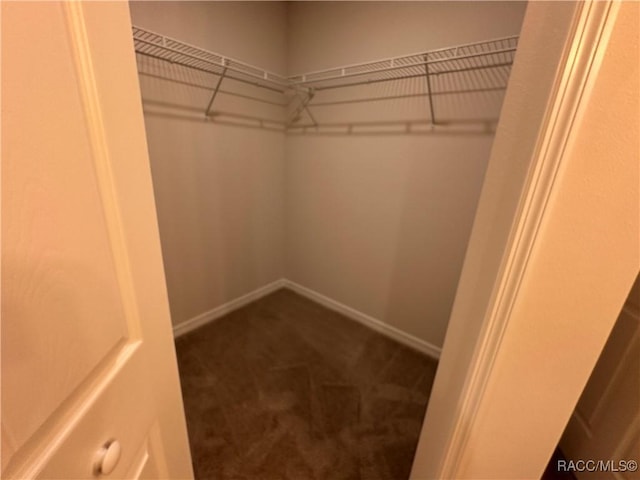 spacious closet featuring dark colored carpet