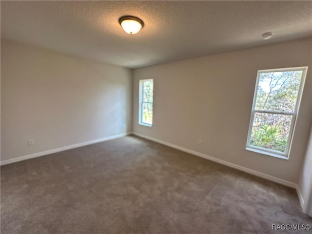 carpeted empty room featuring a wealth of natural light and a textured ceiling