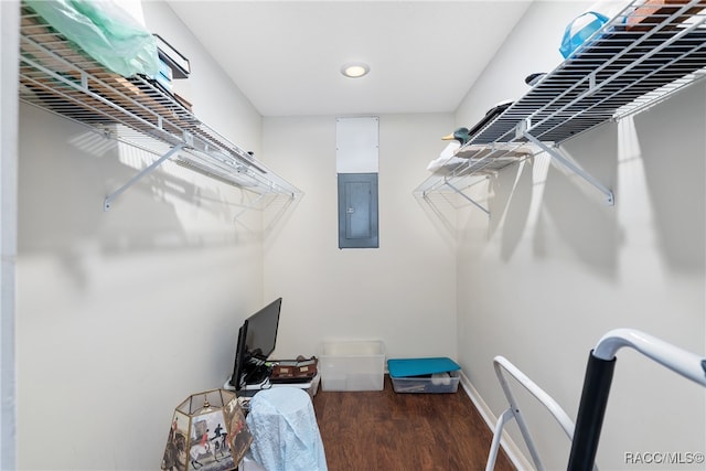 walk in closet featuring dark hardwood / wood-style flooring and electric panel