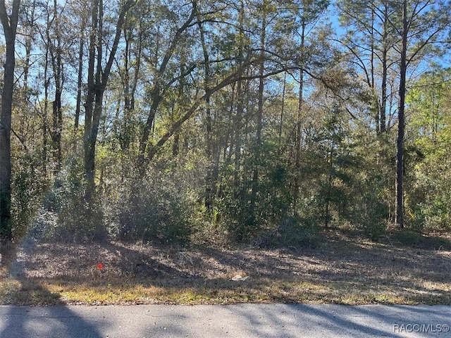 Listing photo 3 for LOT6 Westview Ave, Dunnellon FL 34431