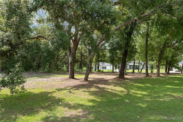 140 W Frisco Ln, Citrus Springs, FL 34434 - view of green lawn