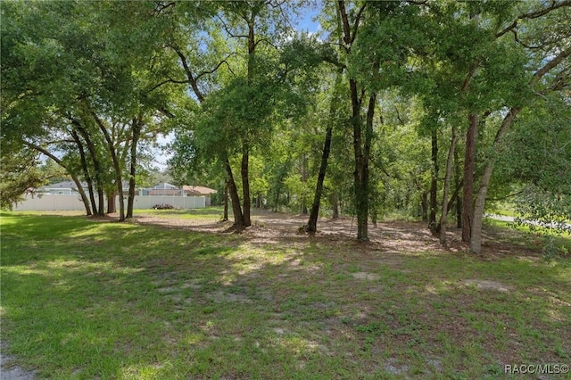 140 W Frisco Ln, Citrus Springs, FL 34434 - view of yard
