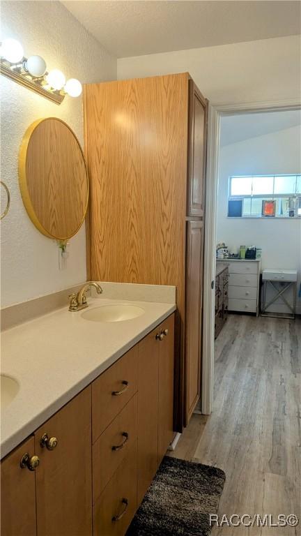 bathroom with wood-type flooring and vanity