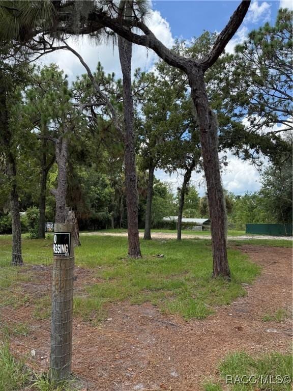 850 Rhyme St, Crystal River, FL 34429 - photo 6