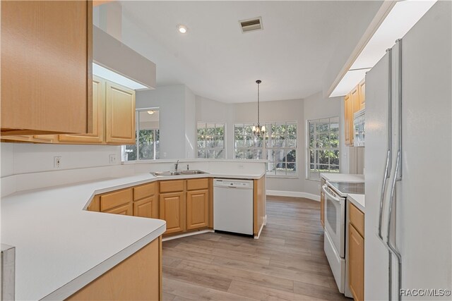 kitchen featuring a wealth of natural light, light brown cabinetry, light hardwood / wood-style floors, and white appliances