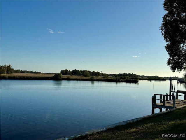 dock area with a water view