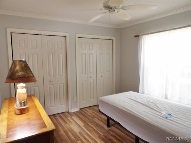 bedroom with multiple closets, ceiling fan, crown molding, and hardwood / wood-style floors