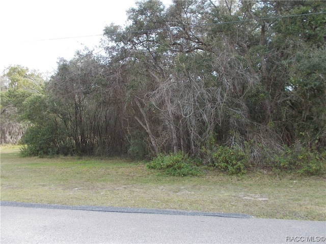 241 N Highview Ave, Hernando FL, 34442 land for sale