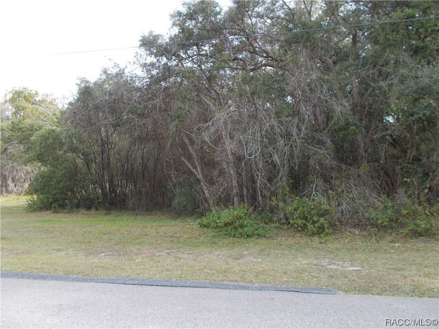 241 N Highview Ave, Hernando, FL 34442