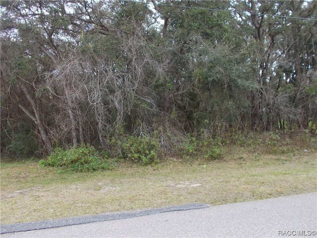 Listing photo 3 for 241 N Highview Ave, Hernando FL 34442