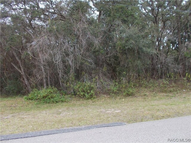 241 N Highview Ave, Hernando, FL 34442