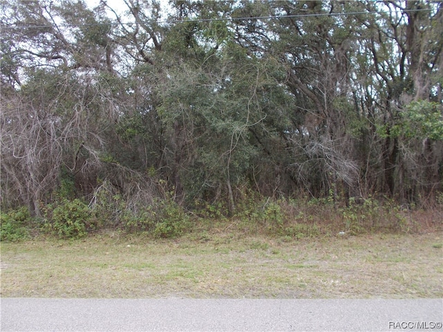 Listing photo 2 for 241 N Highview Ave, Hernando FL 34442