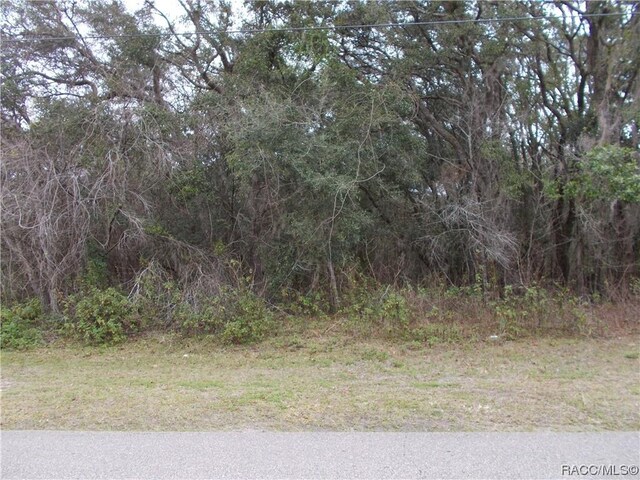 241 N Highview Ave, Hernando, FL 34442