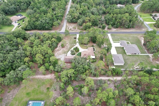 4105 W Tomahawk Dr, Beverly Hills, FL 34465 - aerial overview of property's location