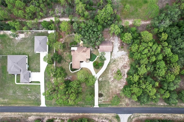 4105 W Tomahawk Dr, Beverly Hills, FL 34465 - aerial overview of property's location