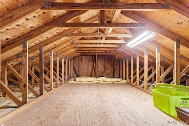 4105 W Tomahawk Dr, Beverly Hills, FL 34465 - view of attic