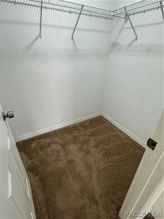 walk in closet with carpet flooring