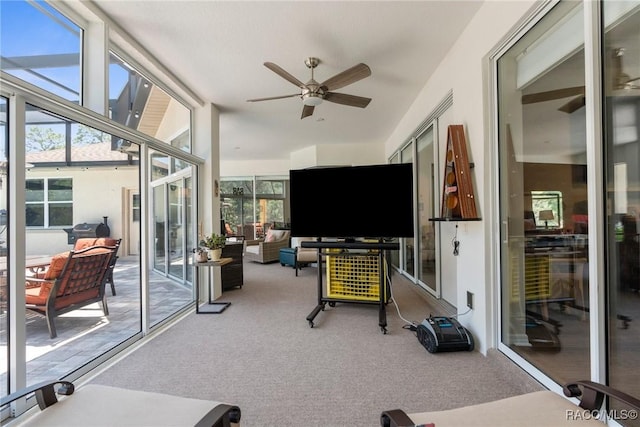 2056 W Learwood Pl, Beverly Hills, FL 34465 - sunroom / solarium featuring a ceiling fan, carpet, and outdoor lounge area