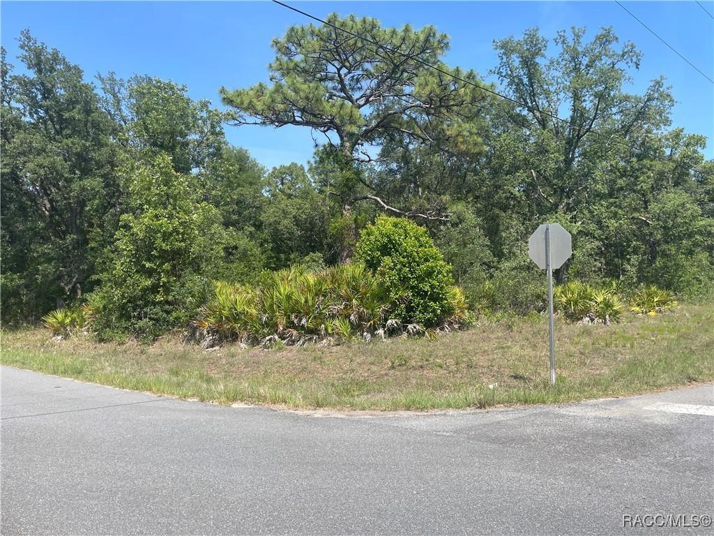 6645 W Erlen Ln, Homosassa, FL 34448 - photo 1