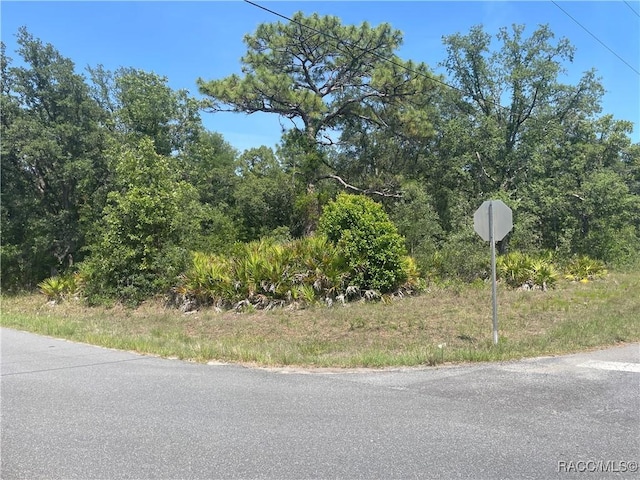 6645 W Erlen Ln, Homosassa, FL 34448 - photo 1